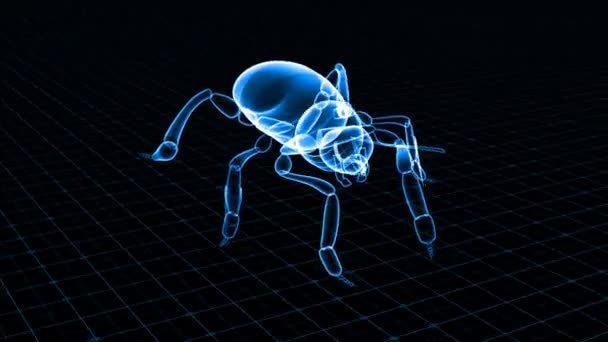 Технология рентгеновского сканирования насекомых — стоковое видео