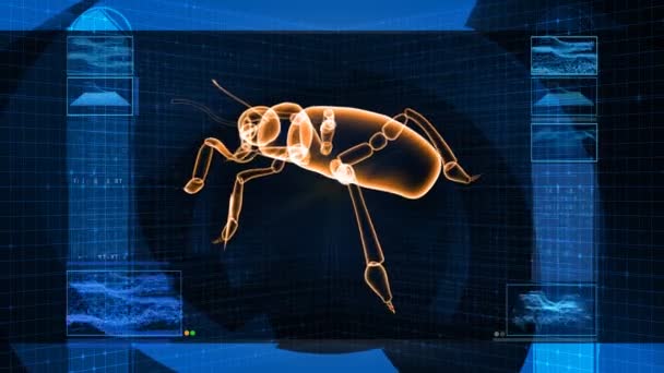 Insetos Bug X-Ray Scan Technology — Vídeo de Stock