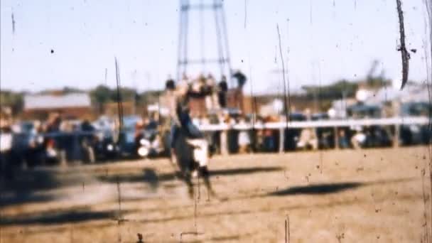 Cowboy Bull Ride (Архив 1950-х годов ) — стоковое видео