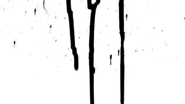 Gotas de tinta em execução (Preto sobre branco ) — Vídeo de Stock