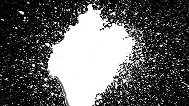 Splatter gota de tinta (branco no preto ) — Vídeo de Stock