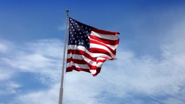 USA American Flag — Stock Video