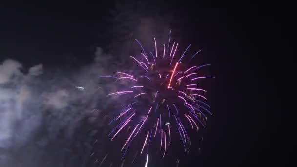 Feuerwerk - scharfer, lebendiger, sauberer HD-Zeitraffer — Stockvideo