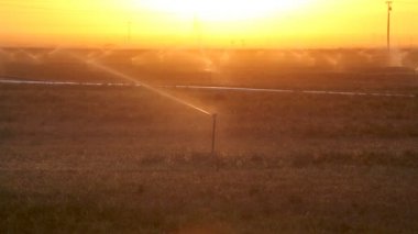 Bir Çiftlikte Gün Batımında Fıskiye