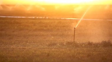 Bir Çiftlikte Gün Batımında Fıskiye