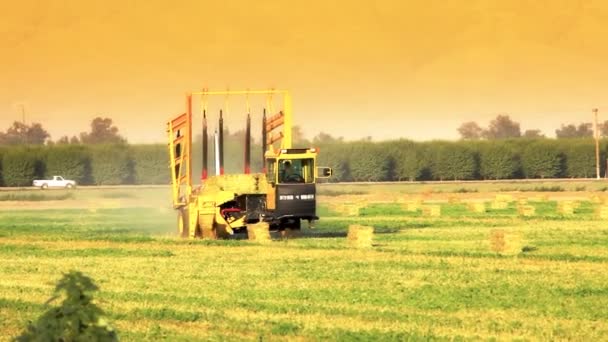 Hay Bale Machine Loader on Farm — Stock Video