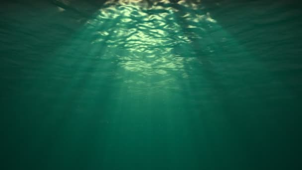 Undervattens-reflexion i havet — Stockvideo