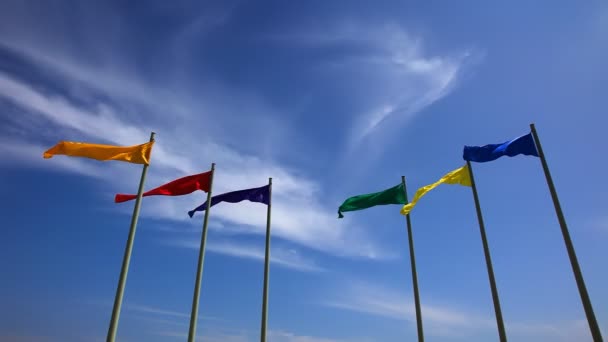 Colorful Flags and Perfect Blue Sky — Stock Video