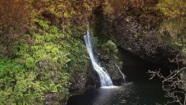 熱帯の楽園で滝 — ストック動画
