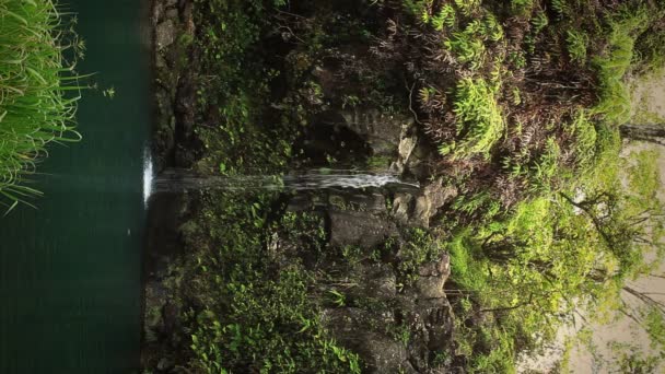 Водопад в тропическом раю — стоковое видео
