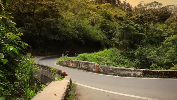 Driving the Road to Hana (Maui,  Hawaii) — Stock Video