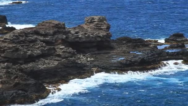 Costa del Pacífico rocoso (Maui, Hawaii ) — Vídeo de stock