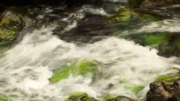 Acqua limpida e pulita che scorre in un torrente — Video Stock