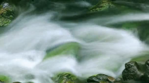 Agua limpia y clara fluyendo en un arroyo — Vídeos de Stock