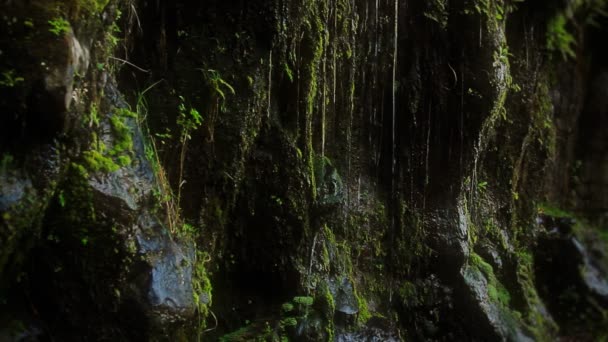 Cascata nel paradiso tropicale — Video Stock