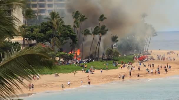 Fuego en Beach Resort — Vídeo de stock