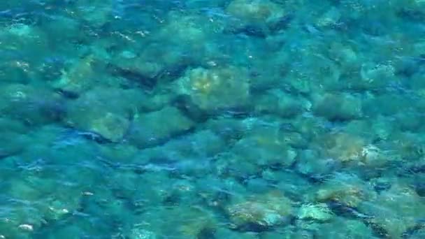 岩だらけの海岸と熱帯の海 — ストック動画