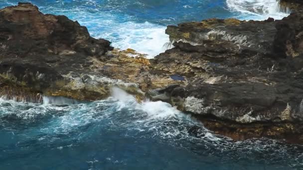 Kayalık sahil ve tropik suları — Stok video