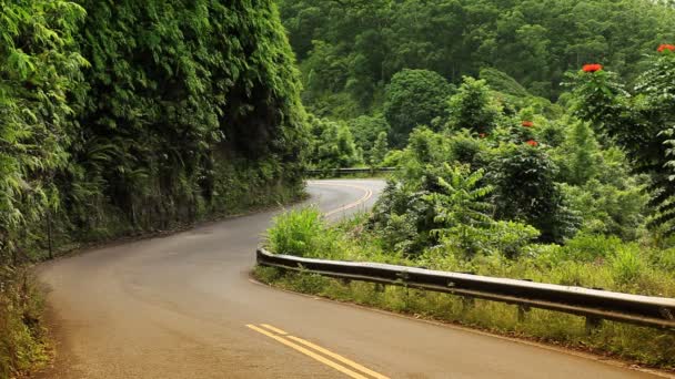 这条路开车去 Hana (毛伊岛，夏威夷) — 图库视频影像