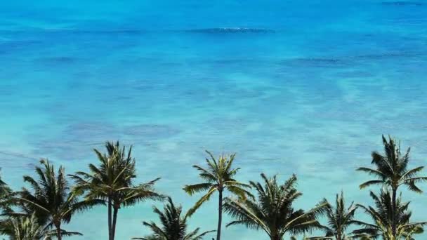 Tropical Beach Resort Paradise — Vídeo de Stock