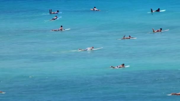 Surfistas no Tropical Beach Paradise — Vídeo de Stock