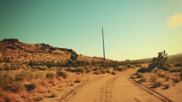 熱い砂漠の泥道を走る — ストック動画