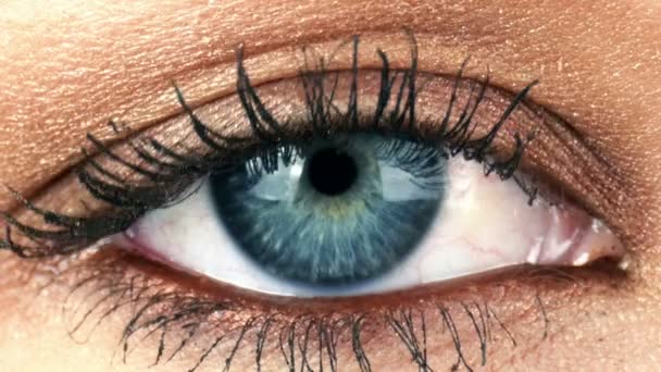 Makro snímek zblízka ženské lidské oko bliká