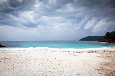 Güzel sahil ve tropikal deniz