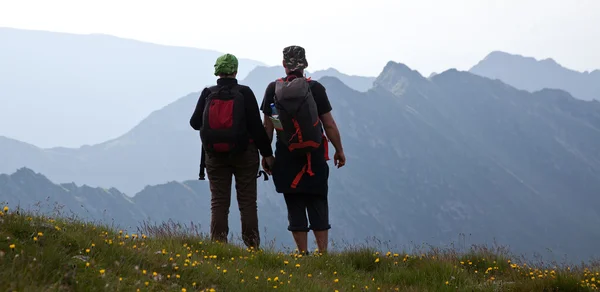 Aantal wandelaars bewonderen weergave en nemen foto's van hoge bergen — Stockfoto