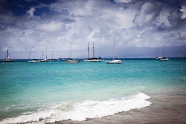 Caribbean beach - Guadeloupe, küçük Antiller