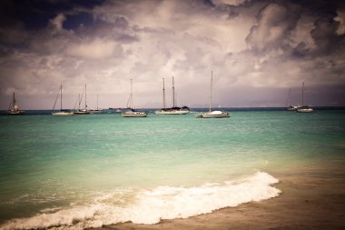 Caribbean beach - Guadeloupe, küçük Antiller