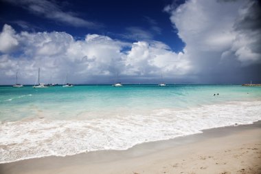 Caribbean beach - Guadeloupe, Lesser Antilles clipart