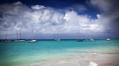 Caribbean beach - Guadeloupe, küçük Antiller