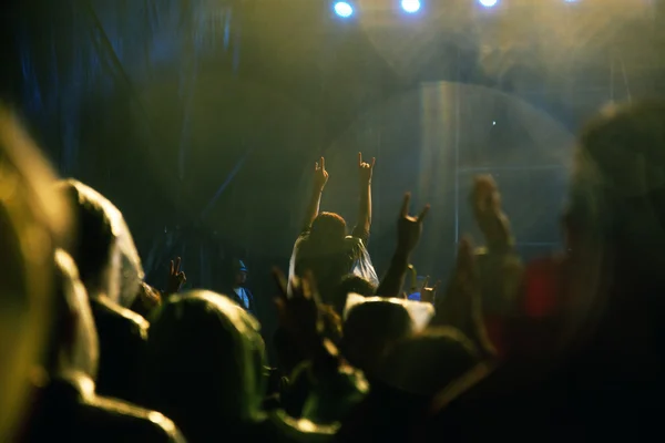 Multitud en concierto — Foto de Stock