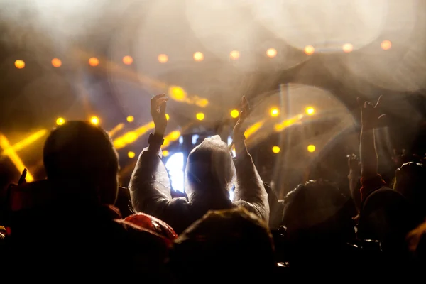 Crowd at concert — Stock Photo, Image