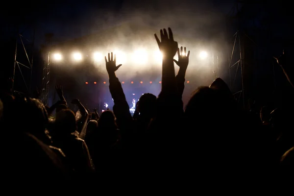 Crowd at concert — Stock Photo, Image