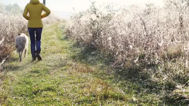 Vrouw Wandelen Met Hond Outdoor Herfst Zonsopgang — Stockvideo