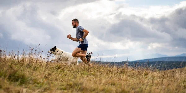Mooie Trail Runner Hardlopen Natuur — Stockfoto
