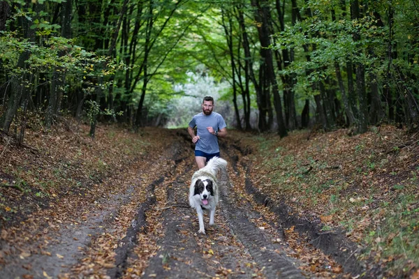 Handsome Trail Runner Running Nature — Stock Photo, Image