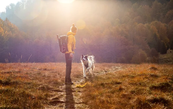 Vrouw Hond Buiten Herfst Zonsopgang Sociale Afstandelijkheid — Stockfoto