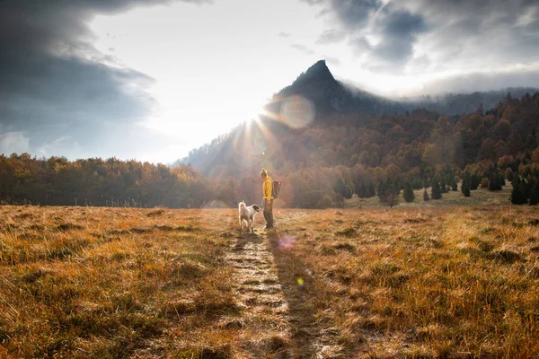 Donna Cane All Aperto Autunno Alba Distanza Sociale — Foto Stock