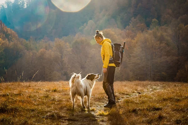 Femme Chien Extérieur Automne Lever Soleil Distance Sociale — Photo