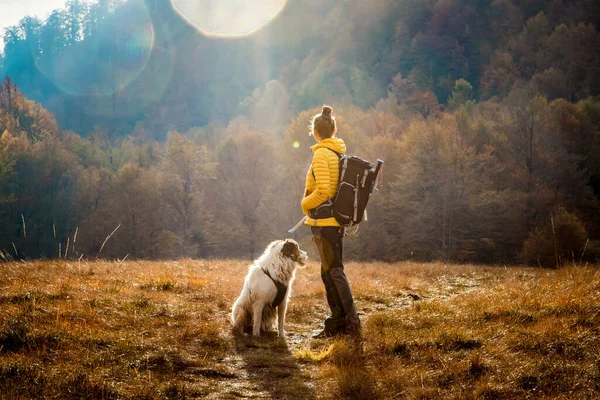 Woman Dog Outdoors Autumn Sunrise Social Distancing — Stock Photo, Image