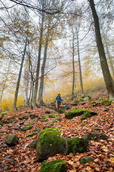 Woman Trekking Beautiful Autumn Forest — Stock Photo, Image