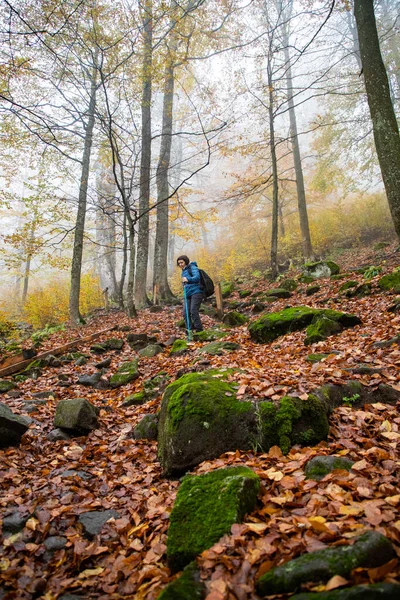 女人在美丽的秋天森林里徒步旅行 — 图库照片