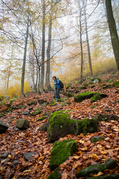 woman trekking in beautiful autumn forest