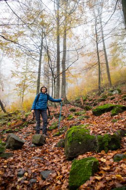 Güzel sonbahar ormanlarında gezen bir kadın