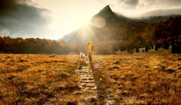 秋の日の出の屋外での犬と女の距離社会的距離 — ストック写真