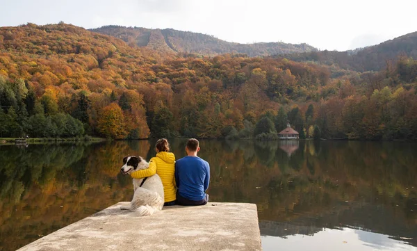 Пара Собака Сидят Красивого Осеннего Озера — стоковое фото