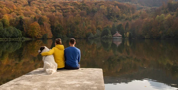 Coppia Cane Seduti Vicino Bellissimo Lago Autunnale — Foto Stock